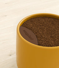 Load image into Gallery viewer, Mustard stand:all