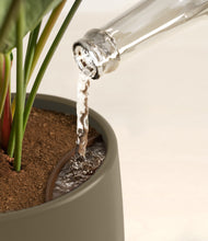 Load image into Gallery viewer, Olive stand:all