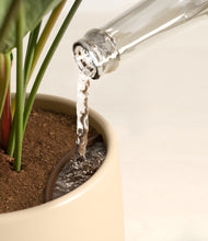 Load image into Gallery viewer, Almond Green stand:all