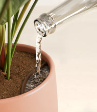 Load image into Gallery viewer, Calm Rose stand:all