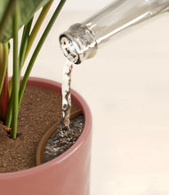 Load image into Gallery viewer, Striped Peach Pink stand:all