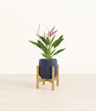 Load image into Gallery viewer, Deep Navy stand:bamboo