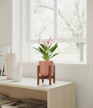 Load image into Gallery viewer, Striped Rose Pink stand:walnut