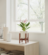 Load image into Gallery viewer, Cotton White stand:walnut