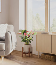 Load image into Gallery viewer, Eternal Gray stand:walnut