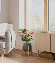 Load image into Gallery viewer, Deep Navy stand:bamboo