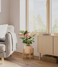 Load image into Gallery viewer, Gentle Pink stand:bamboo