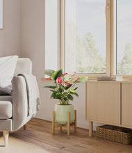 Load image into Gallery viewer, Turquoise stand:bamboo