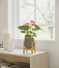 Load image into Gallery viewer, Olive stand:bamboo