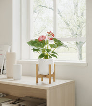 Load image into Gallery viewer, White stand:bamboo