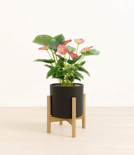 Load image into Gallery viewer, Black stand:bamboo