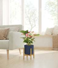 Load image into Gallery viewer, Deep Navy stand:bamboo