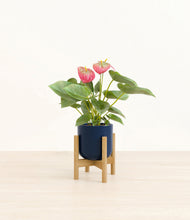 Load image into Gallery viewer, Twilight Blue stand:bamboo