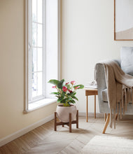 Load image into Gallery viewer, Desert Brown stand:walnut