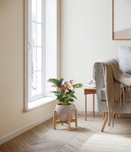 Load image into Gallery viewer, Winter Clouds stand:walnut