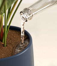 Load image into Gallery viewer, Eclipse stand:all