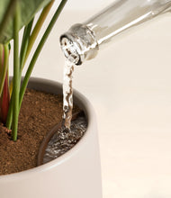 Load image into Gallery viewer, Eternal Gray stand:all