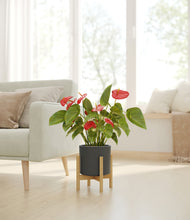 Load image into Gallery viewer, Dark Olive stand:bamboo