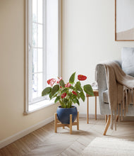 Load image into Gallery viewer, Deep Navy stand:bamboo