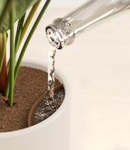 Load image into Gallery viewer, Cotton White stand:all