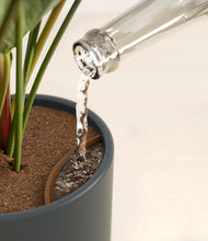 Load image into Gallery viewer, Iron Gray stand:all