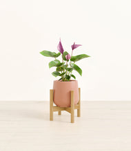 Load image into Gallery viewer, Calm Rose stand:bamboo