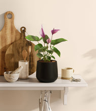 Load image into Gallery viewer, Black