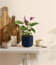 Load image into Gallery viewer, Twilight Blue