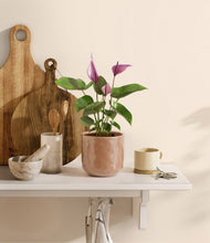 Load image into Gallery viewer, Hammered Peach Pink