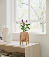 Load image into Gallery viewer, Striped Peach Pink stand:bamboo