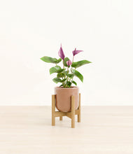 Load image into Gallery viewer, Hammered Peach Pink stand:bamboo