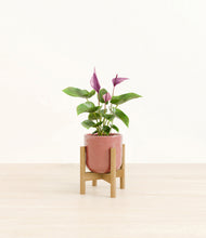 Load image into Gallery viewer, Hammered Rose Pink stand:bamboo