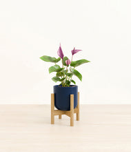 Load image into Gallery viewer, Twilight Blue stand:bamboo