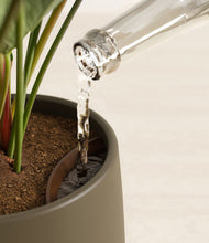 Load image into Gallery viewer, Woodland stand:all