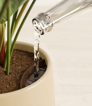 Load image into Gallery viewer, Evening Sky stand:all