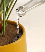 Load image into Gallery viewer, Evening Sky stand:all