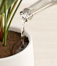 Load image into Gallery viewer, Sandy stand:all