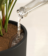 Load image into Gallery viewer, Black stand:all