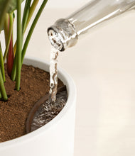 Load image into Gallery viewer, White