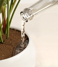 Load image into Gallery viewer, Shiny EggWhite stand:all