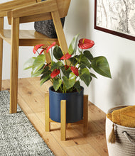 Load image into Gallery viewer, Deep Navy stand:light