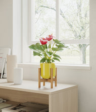 Load image into Gallery viewer, Key Lime Yellow stand:bamboo