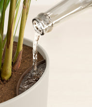 Load image into Gallery viewer, Natural Bamboo stand:all