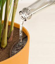 Load image into Gallery viewer, Evening Sky