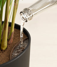 Load image into Gallery viewer, Stone Black stand:all