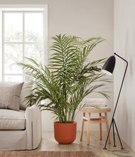 Load image into Gallery viewer, Earth Red