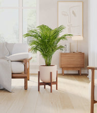 Load image into Gallery viewer, Sandy Pink stand:walnut