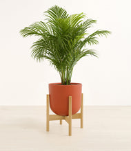 Load image into Gallery viewer, Earth Red stand:bamboo