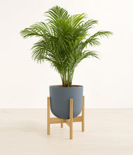 Load image into Gallery viewer, Iron Gray stand:bamboo