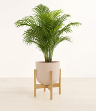 Load image into Gallery viewer, Sandy Pink stand:bamboo